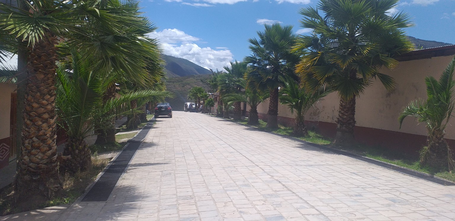 Calle de Nuevo Tingo con palmeras y viviendas junto a las montañas